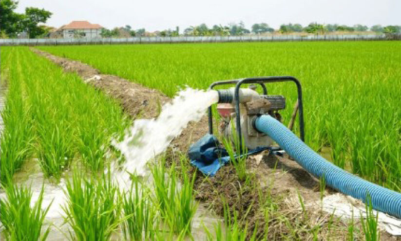 വേനൽ സംരക്ഷണം കാർഷിക മേഖലയിൽ വേനൽ സംരക്ഷണം കാർഷിക മേഖലയിൽ