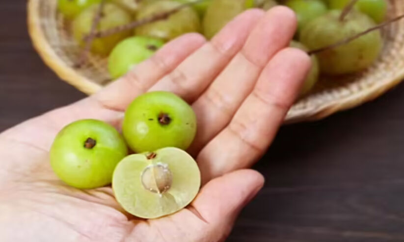 ഇത്തിരി കയ്ച്ചാലും നെല്ലിക്ക മധുരിക്കും