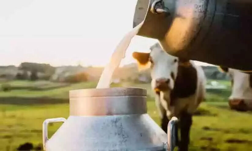 സഹകരണ സംഘങ്ങളിൽ പാല്‍ വിലയിൽ കൊള്ള