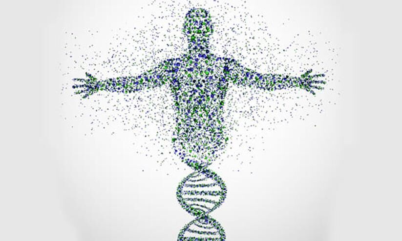 Biology The Major Concepts To Recall