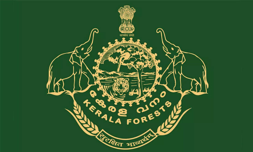 പമ്പാവാലി പരിസ്ഥിതിലോല മേഖലയാക്കാൻ ശ്രമമെന്ന് ആക്ഷേപം പമ്പാവാലി പരിസ്ഥിതിലോല മേഖലയാക്കാൻ ശ്രമമെന്ന് ആക്ഷേപം