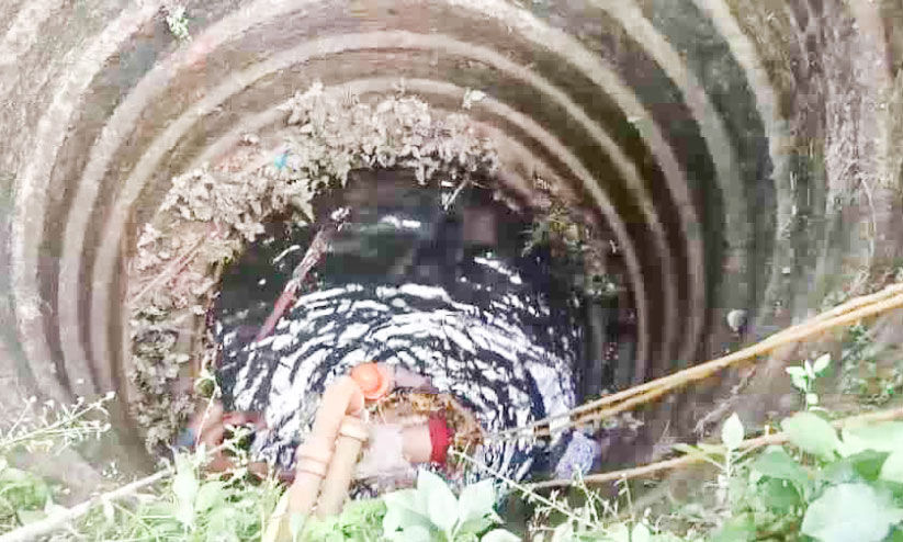 വയോധിക കിണറ്റില് വീണു: രക്ഷിക്കാനിറങ്ങിയ രണ്ട് യുവാക്കളും കുടുങ്ങി; രക്ഷകരായി അഗ്നിരക്ഷ സേന വയോധിക കിണറ്റില് വീണു: രക്ഷിക്കാനിറങ്ങിയ രണ്ട് യുവാക്കളും കുടുങ്ങി; രക്ഷകരായി അഗ്നിരക്ഷ സേന