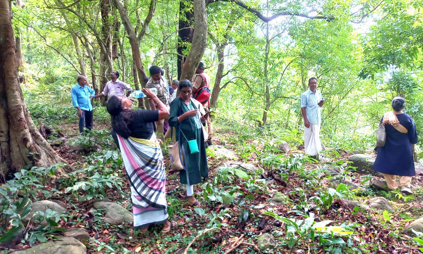 പ്ര​കൃ​തി​സ്നേ​ഹി​ക​ളു​ടെ ത​ണ​ലി​ൽ പ​ച്ച​പു​ത​ച്ച്​ നെ​ടു​ങ്ങ​ല്ലൂ​ർ പ​ച്ച