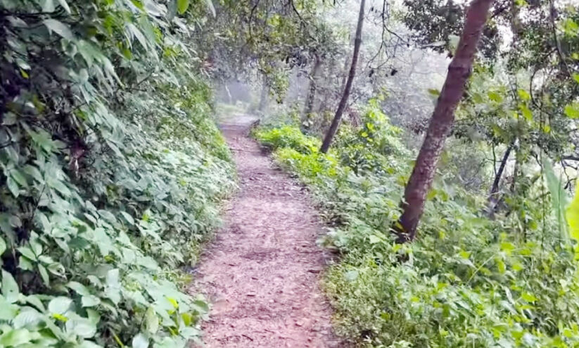 കു​ളി​രേ​കു​ന്ന കാ​ഴ്ച​ക​ളു​ണ്ട്; അ​ടി​സ്ഥാ​ന സൗ​ക​ര്യ​ങ്ങ​ളി​ല്ല