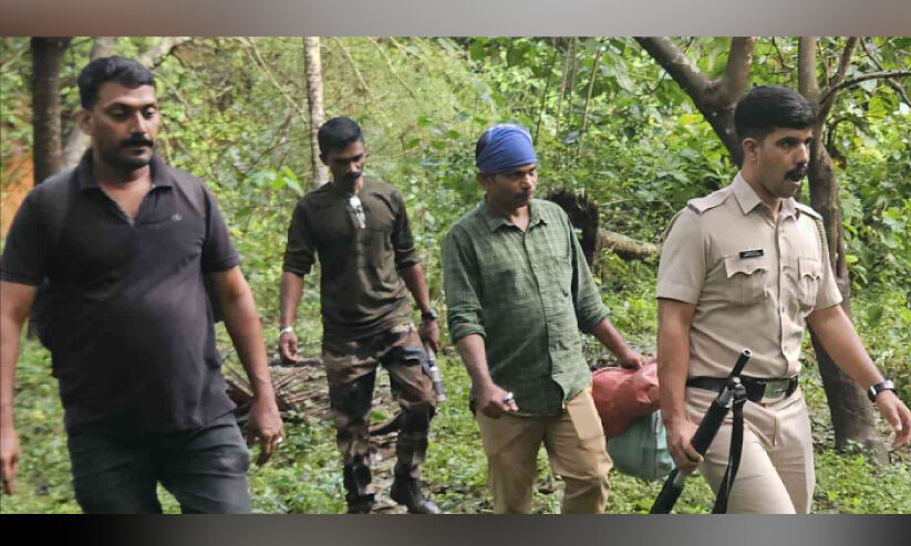 പട്രോളിങ്ങിനിടെ വനപാലകർക്ക് നേരെ കുതിച്ചെത്തി ഒറ്റയാൻ പട്രോളിങ്ങിനിടെ വനപാലകർക്ക് നേരെ കുതിച്ചെത്തി ഒറ്റയാൻ