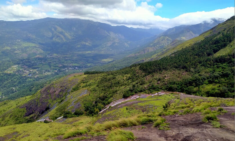 ഇവിടെ, 1750 മീറ്റർ ഉയരത്തിൽ വനം പുനർജനിക്കുന്നു...