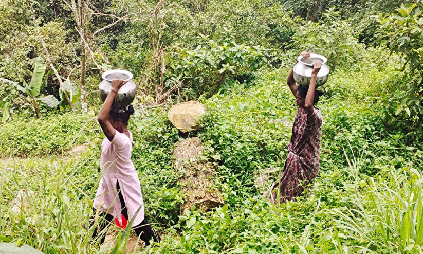 ഉന്നതിയിലുള്ളവർക്ക് കുടിവെള്ളം കിട്ടാക്കനി ഉന്നതിയിലുള്ളവർക്ക് കുടിവെള്ളം കിട്ടാക്കനി