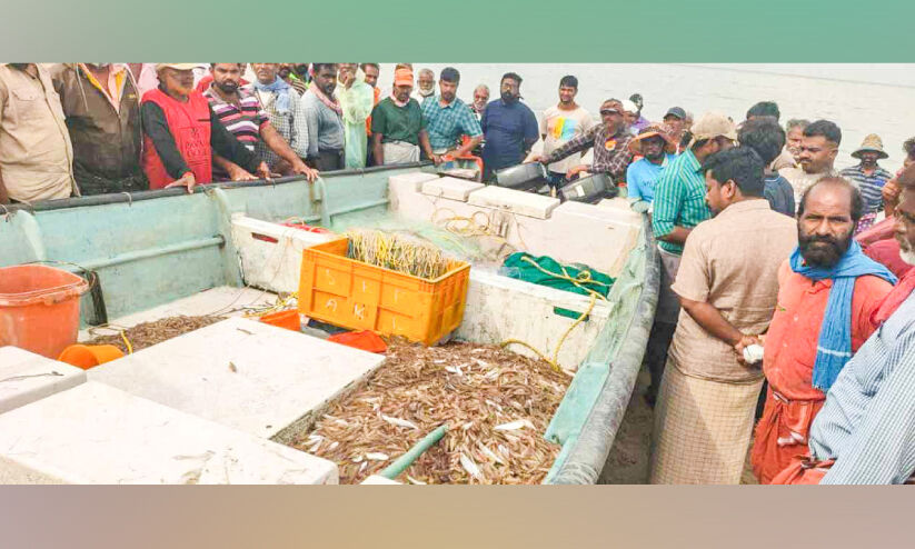 പോത്തൻവല ഉപയോഗിച്ച് കടൽ കലക്കി മത്സ്യംപിടിച്ച നാല് വള്ളങ്ങൾ പിടിയിൽ പോത്തൻവല ഉപയോഗിച്ച് കടൽ കലക്കി മത്സ്യംപിടിച്ച നാല് വള്ളങ്ങൾ പിടിയിൽ