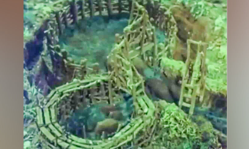 ആനകളെ വീഴ്ത്തിയിരുന്ന ഖെദ്ദ സമ്പ്രദായം ഓർമയായിട്ട് 151 വർഷം ആനകളെ വീഴ്ത്തിയിരുന്ന ഖെദ്ദ സമ്പ്രദായം ഓർമയായിട്ട് 151 വർഷം