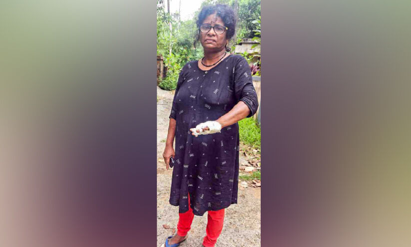 കേസന്വേഷണത്തിനെത്തിയ പൊലീസ് വയോധികയെ മർദ്ദിച്ചതായി പരാതി