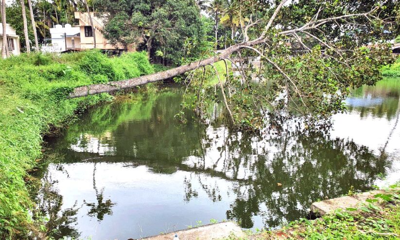 അശാസ്​ത്രീയ നിർമാണം; പുല്ലൈകോണം കുളം നശിക്കുന്നു