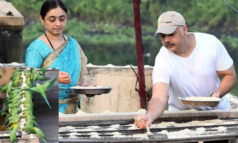 മെയ്യഴകനിലെ കിളിവീട് ചെന്നൈയിലുണ്ട്; സുദർശന്റെ വീട്ടിൽ ദിവസവും എത്തുന്നത് ആയിരക്കണക്കിന് തത്തകൾ മെയ്യഴകനിലെ കിളിവീട് ചെന്നൈയിലുണ്ട്; സുദർശന്റെ വീട്ടിൽ ദിവസവും എത്തുന്നത് ആയിരക്കണക്കിന് തത്തകൾ