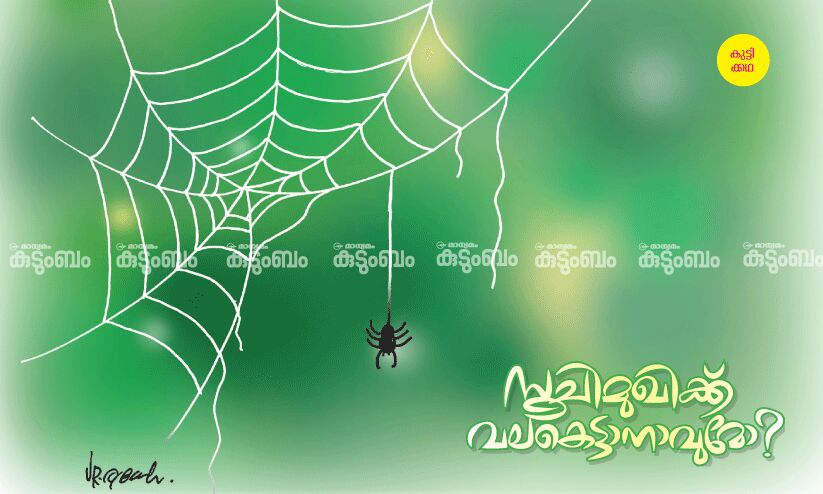 കുട്ടിക്കഥ: സൂചിമുഖിക്ക് വലകെട്ടാനാവുമോ?