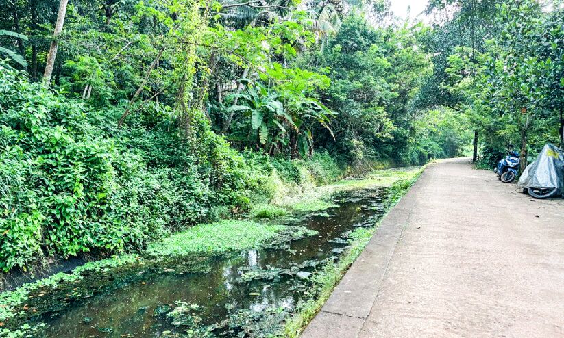 കൈവരിയില്ല; നെയ്യാർ ഇറിഗേഷൻ കനാൽ പരിസരത്ത് അപകട ഭീഷണി