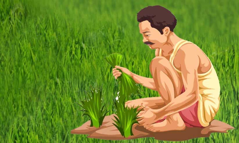 കണ്ണീർപ്പാടം കൊയ്യും നേരം...കൃഷി ഉപേക്ഷിക്കേണ്ടി വരുമോ​?