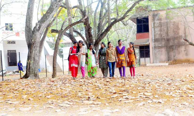 ബിരുദ പഠനത്തിലെ പുതിയ മാറ്റം എന്താണ്? ബിരുദ പഠനത്തിലെ പുതിയ മാറ്റം എന്താണ്?