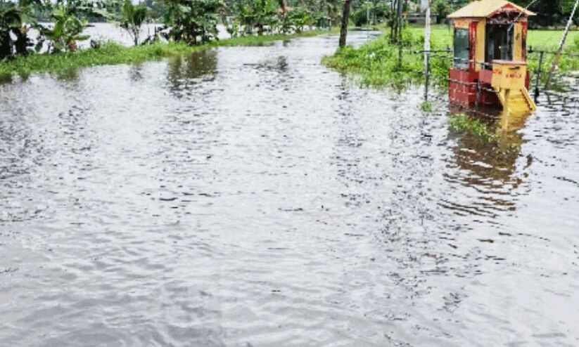 കുട്ടനാട്ടിൽ ജലനിരപ്പ് ഉയരുന്നതിൽ ആശങ്ക കുട്ടനാട്ടിൽ ജലനിരപ്പ് ഉയരുന്നതിൽ ആശങ്ക