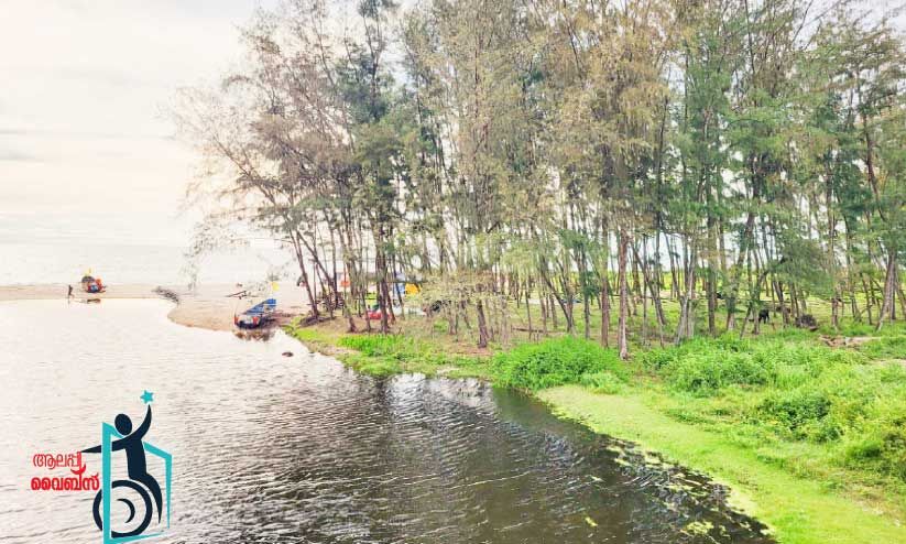 കാഴ്ചയുടെ വിരുന്നൊരുക്കി അറപ്പപ്പൊഴി