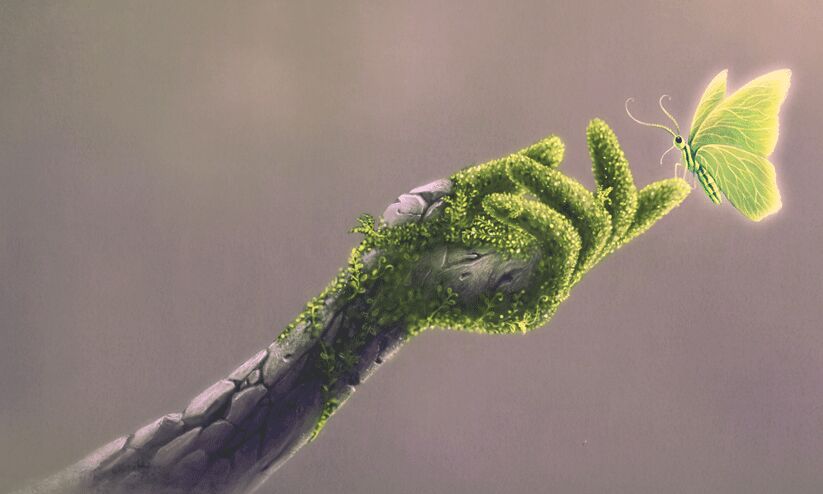 യുദ്ധങ്ങളും കഠിന രോഗങ്ങളും ഇല്ലാത്ത ലോകം സാധ‍്യമാണോ?... സാധ‍്യമെന്ന് കുഞ്ഞുങ്ങൾ പഠിപ്പിച്ചു തരുന്നു, ഈ ഉദാഹരണത്തിലൂടെ