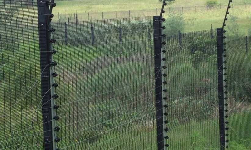 വ​ന​ത്തി​നു​ള്ളി​ലെ തേ​ക്ക് പ്ലാ​ന്‍റേ​ഷ​നു​ക​ൾ​ക്ക് സോ​ളാ​ർ വേ​ലി; കാ​ട്ടാ​ന​ക​ൾ നാ​ടി​റ​ങ്ങു​ന്നു