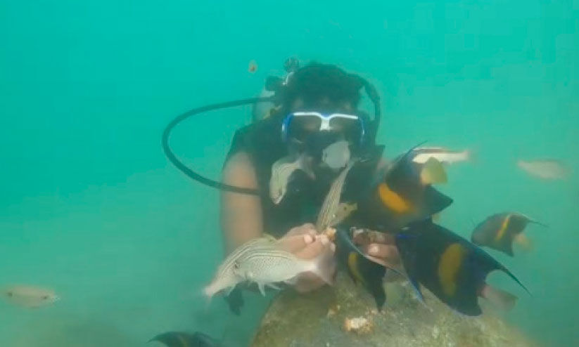 കടലാഴങ്ങൾ തേടിപ്പോകാം... കടലാഴങ്ങൾ തേടിപ്പോകാം...