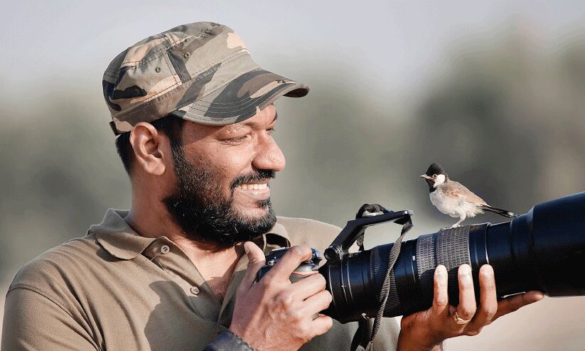 പിക്ചേഴ്സ് ഓഫ് സ്മാൾ തിങ്ങ്സ് പിക്ചേഴ്സ് ഓഫ് സ്മാൾ തിങ്ങ്സ്