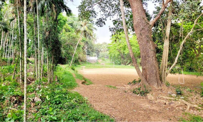 പടനിലത്ത് കളിസ്ഥലം ഒരുങ്ങുന്നു; ഒരു കോടി പതിനഞ്ച് ലക്ഷം രൂപയാണ് വകയിരുത്തിയത് പടനിലത്ത് കളിസ്ഥലം ഒരുങ്ങുന്നു; ഒരു കോടി പതിനഞ്ച് ലക്ഷം രൂപയാണ് വകയിരുത്തിയത്