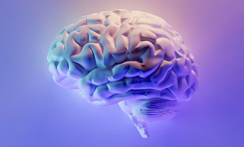 ഈ 10 ശീലങ്ങൾ നിങ്ങളുടെ തലച്ചോറിനെ തകർക്കും ഈ 10 ശീലങ്ങൾ നിങ്ങളുടെ തലച്ചോറിനെ തകർക്കും