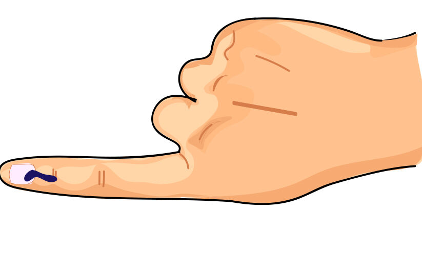 പൂഞ്ഞാറിൽ ആര്​ പുലിയാകും