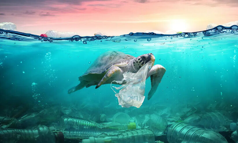 കടലിനും സമ്മർദമേറുന്നു; അടുത്ത കാൽ നൂറ്റാണ്ടിനകം സമുദ്രങ്ങളിലെ മനുഷ്യ സ്വാധീനം ഇരട്ടിയാകും കടലിനും സമ്മർദമേറുന്നു; അടുത്ത കാൽ നൂറ്റാണ്ടിനകം സമുദ്രങ്ങളിലെ മനുഷ്യ സ്വാധീനം ഇരട്ടിയാകും