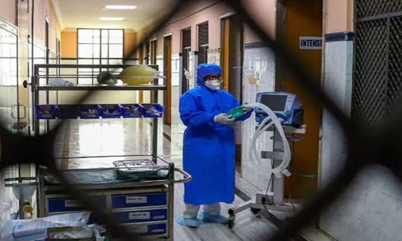 കോവിഡ് പരിശോധനക്കയച്ച ആ പൂച്ചയുടെ ജഡം ഇപ്പോഴും അമേരിക്കയി​ലെ സി.ഡി.സി സെന്ററിൽ