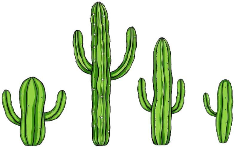 മുസിരിസ് സ്കെച്ചുകള്‍