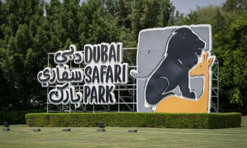 ദുബൈ സഫാരി പാർക്ക് ഒക്ടോബറിൽ തുറക്കും ദുബൈ സഫാരി പാർക്ക് ഒക്ടോബറിൽ തുറക്കും