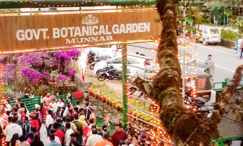 മോടി കൂട്ടി മൂന്നാർ ബോട്ടാണിക്കല് ഗാര്ഡന് മോടി കൂട്ടി മൂന്നാർ ബോട്ടാണിക്കല് ഗാര്ഡന്