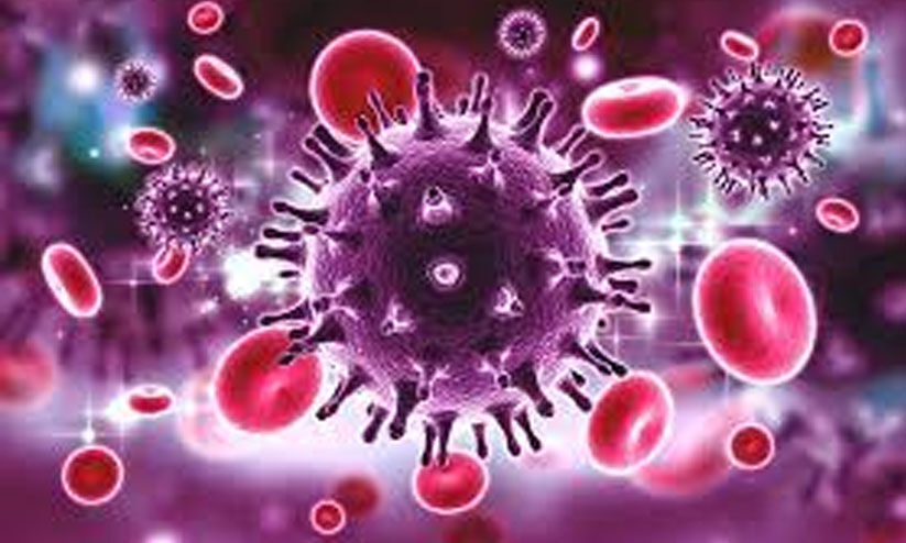 എച്ച്.ഐ.വി പരിശോധന നടത്തിയവർ 13.54 ലക്ഷം; 1046 പേർ പോസിറ്റിവ് എച്ച്.ഐ.വി പരിശോധന നടത്തിയവർ 13.54 ലക്ഷം; 1046 പേർ പോസിറ്റിവ്