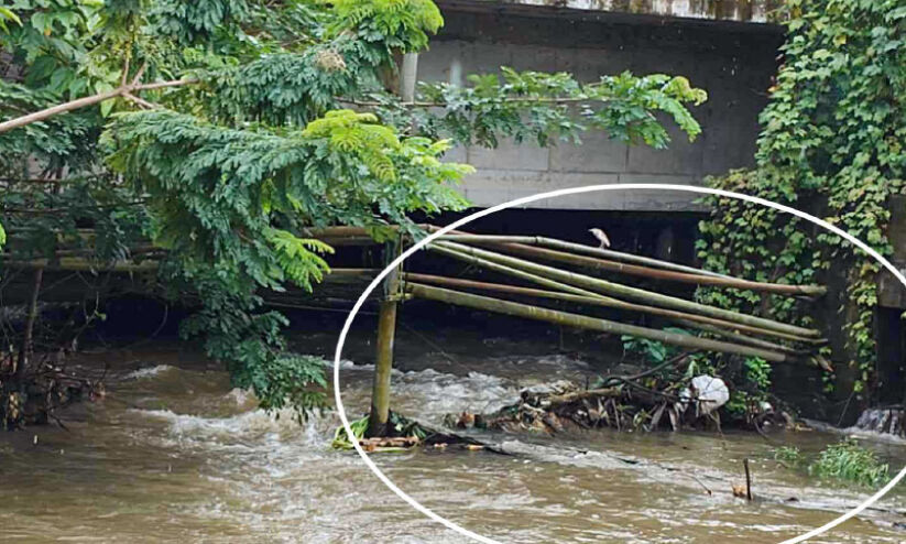 ഒഴുക്കിന് തടസ്സം സൃഷ്ടിച്ച് ഇരുമ്പ് തൂണുകൾ; വലിയതോട്ടിൽ മാലിന്യം കെട്ടിക്കിടക്കുന്നു ഒഴുക്കിന് തടസ്സം സൃഷ്ടിച്ച് ഇരുമ്പ് തൂണുകൾ; വലിയതോട്ടിൽ മാലിന്യം കെട്ടിക്കിടക്കുന്നു