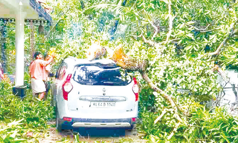 താനൂരിൽ ചുഴലിക്കാറ്റ്: 30ഓളം വീടുകൾക്ക് നാശം താനൂരിൽ ചുഴലിക്കാറ്റ്: 30ഓളം വീടുകൾക്ക് നാശം