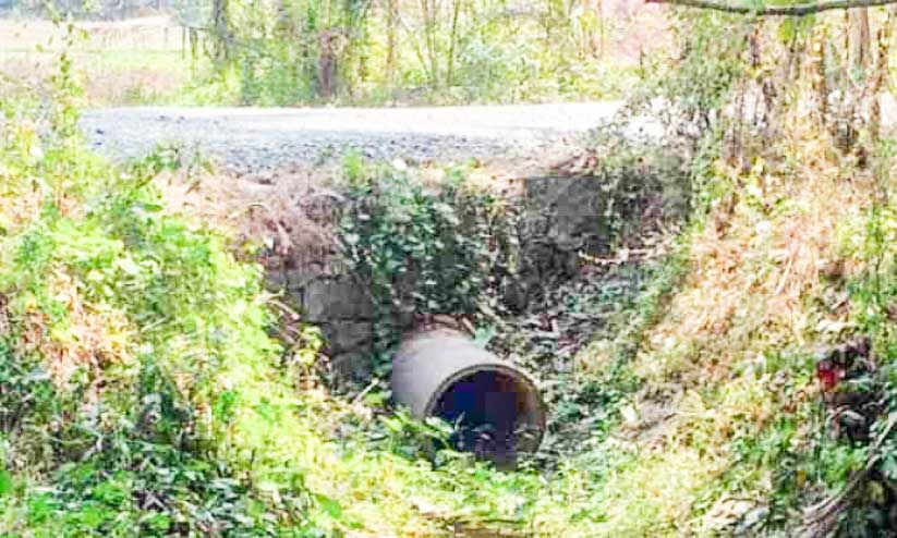 നവകേരള സദസ്സിൽ പരാതിപ്പെട്ടിട്ടും തിരുനിലം റോഡിന് ‘മറുപടി’യില്ല