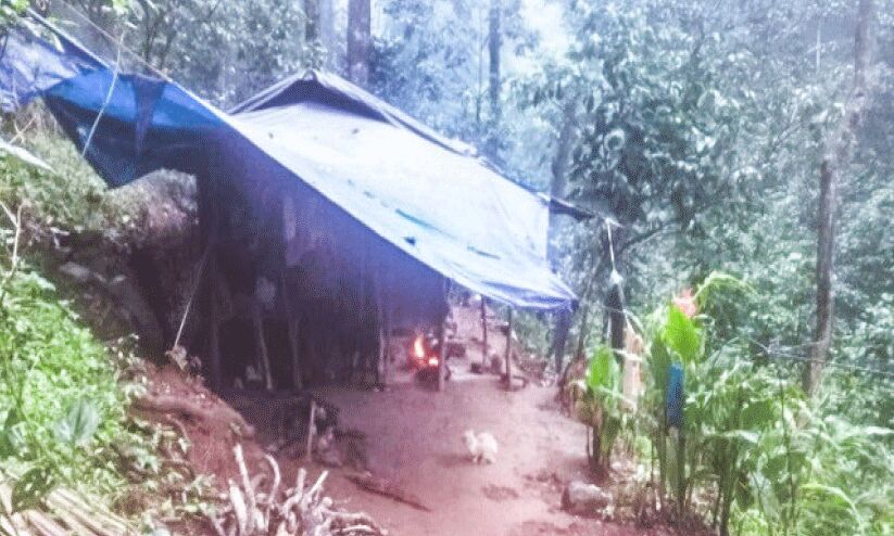 വെളിച്ചവും റോഡുമില്ല കല്ലേമാടം കോളനിയിലെ ആദിവാസികൾ ദുരിതത്തിൽ വെളിച്ചവും റോഡുമില്ല കല്ലേമാടം കോളനിയിലെ ആദിവാസികൾ ദുരിതത്തിൽ