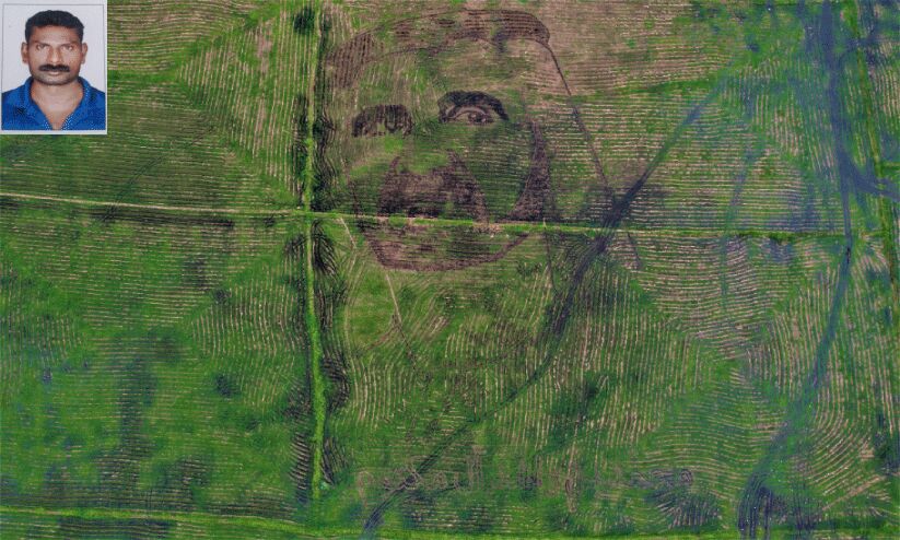 ചെന്നിത്തല പാടത്ത്​ പ്രകൃതിയുടെ നിറച്ചാർത്തായി ദുബൈ ശൈഖിന്‍റെ കൂറ്റൻചിത്രം