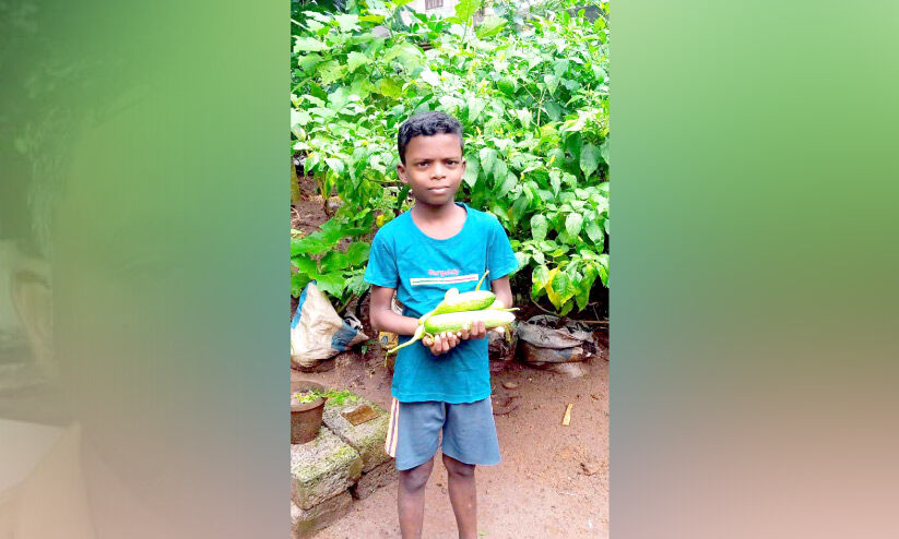 അക്ഷയ് കൃഷ്ണക്ക് കൃഷി കുട്ടിക്കളി അക്ഷയ് കൃഷ്ണക്ക് കൃഷി കുട്ടിക്കളി