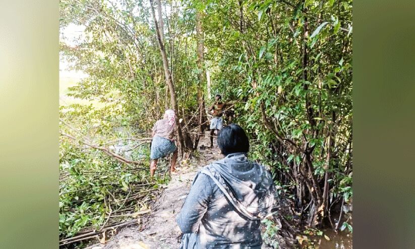 അരൂക്കുറ്റിയിൽ സാമൂഹിക വിരുദ്ധരുടെ താവളം വെട്ടിനിരത്തി അരൂക്കുറ്റിയിൽ സാമൂഹിക വിരുദ്ധരുടെ താവളം വെട്ടിനിരത്തി