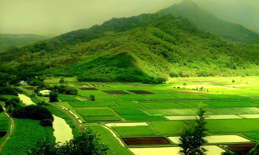 കൂർഗിലേക്കൊരു വീക്കൻഡ് എക്സ്കേപ്പ് കൂർഗിലേക്കൊരു വീക്കൻഡ് എക്സ്കേപ്പ്