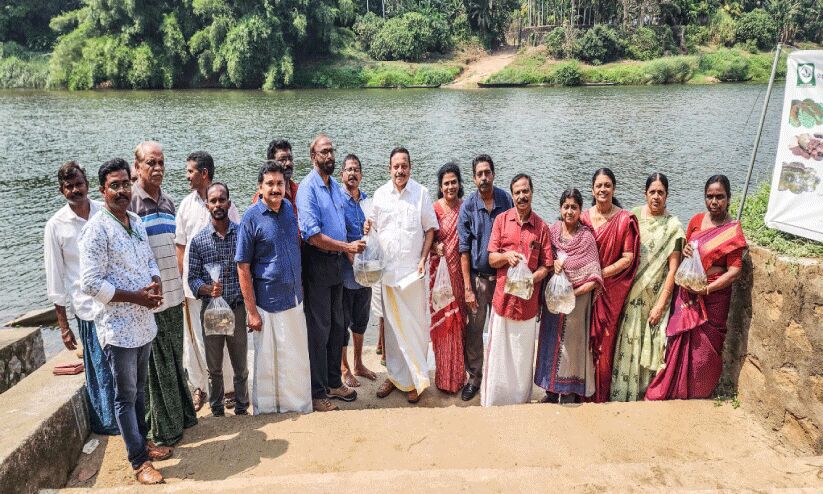 മത്സ്യക്കുഞ്ഞുങ്ങളെ നിക്ഷേപിച്ചു മത്സ്യക്കുഞ്ഞുങ്ങളെ നിക്ഷേപിച്ചു