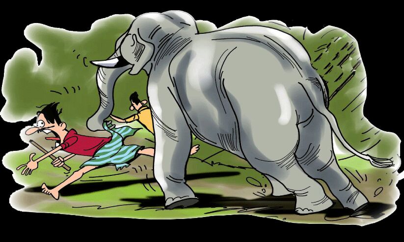 മരണച്ചൂരടിക്കുന്ന മലമടക്കുകൾ; ആനപ്പേടിയിൽ ഇവർക്ക് ഉറക്കമില്ല