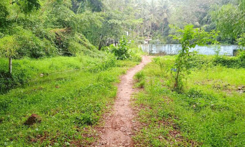 വെള്ളക്കെട്ടില്ല; മുഴപ്പിലങ്ങാടിന് ദുരിതമില്ലാ കാലം വെള്ളക്കെട്ടില്ല; മുഴപ്പിലങ്ങാടിന് ദുരിതമില്ലാ കാലം
