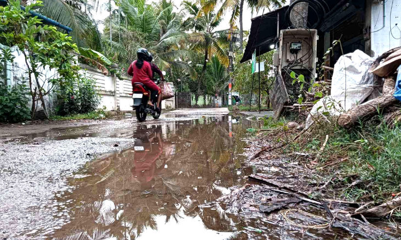 വേ​ലി​യേ​റ്റത്തിൽ കാ​യ​ലോ​ര മേ​ഖ​ല​യി​ൽ വ്യാ​പ​ക നാ​ശം; ചെ​മ്മീ​ൻ ക​ർ​ഷ​ക​ർ പ്ര​തി​സ​ന്ധി​യി​ൽ