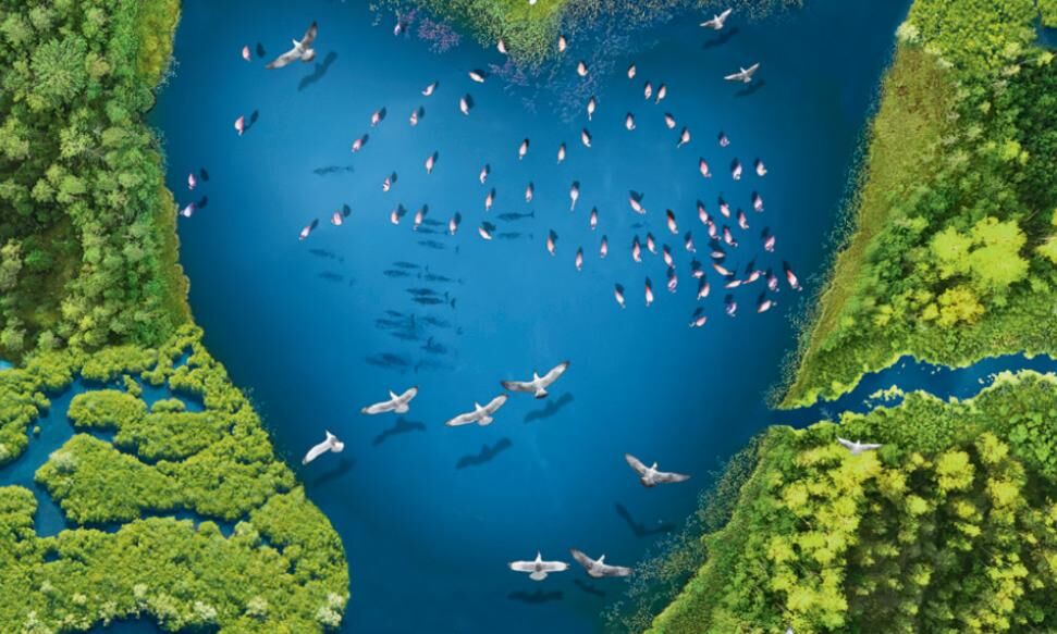 തണ്ണീർത്തടങ്ങൾ സംരക്ഷിക്കാം