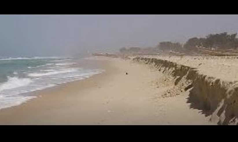 തീ​ര​ദേ​ശ പ​രി​പാ​ല​ന നി​യ​മം; 280 വീ​ടു​ക​ൾ​ക്ക് ഇ​നി സ്ഥി​രം ന​മ്പ​ർ