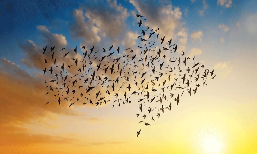 ഏത് മേഖലയിലാണ് ചോദ്യങ്ങൾ ഉന്നയിക്കാതെ സ്ത്രീകൾക്ക് അനുമതിയും അവകാശവും ലഭ്യമായിട്ടുള്ളത്?, സ്ത്രീയും പുരുഷനും തുല്യരോ എന്ന ചോദ്യവും സംവാദങ്ങളും ഇനിയും എത്ര നാൾ?